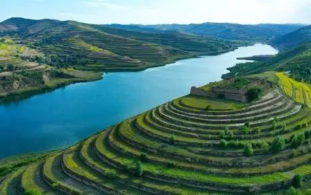 重點(diǎn)行業(yè)VOCs治理“一企一策”！寧夏空氣質(zhì)量持續(xù)改善行動(dòng)實(shí)施方案公開征求意見