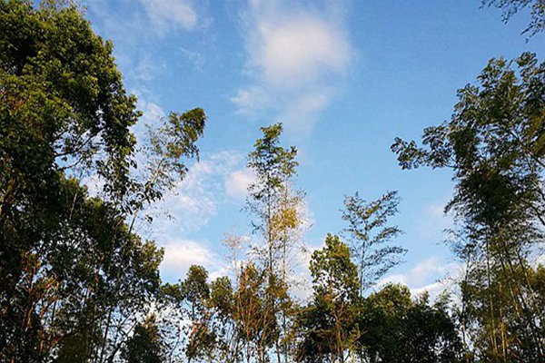 包河區(qū)生態(tài)環(huán)境分局：藍(lán)天不是等出來的，是干出來的